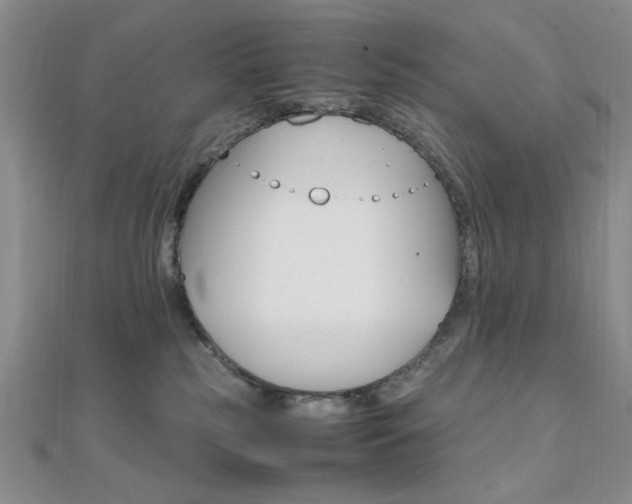 X0000112010185200908031029