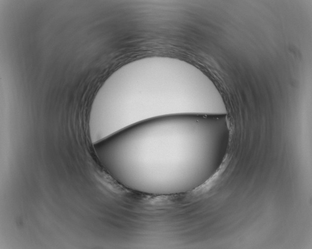 X0000112010186200908031029