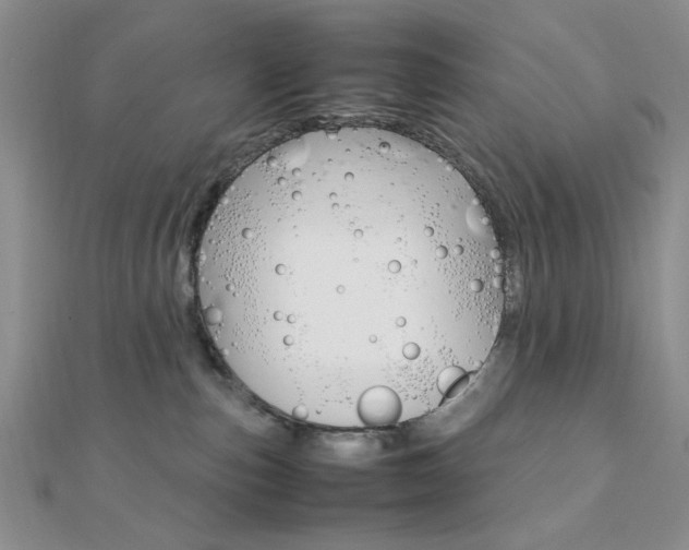 X0000112010187200908031029