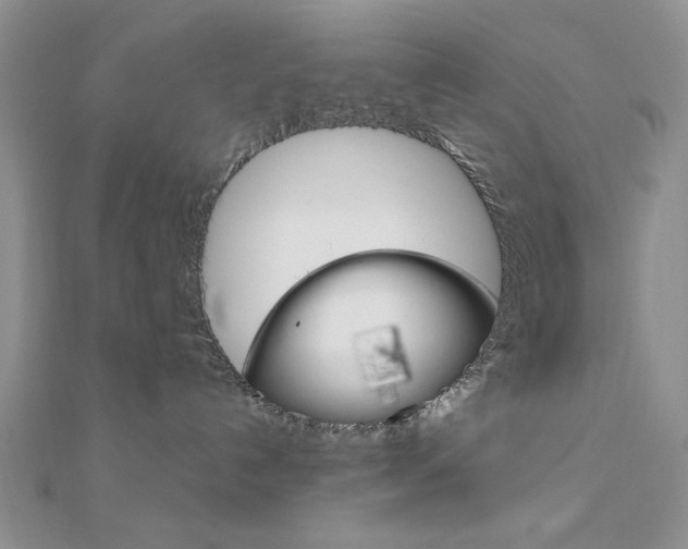 X0000112010192200908031029