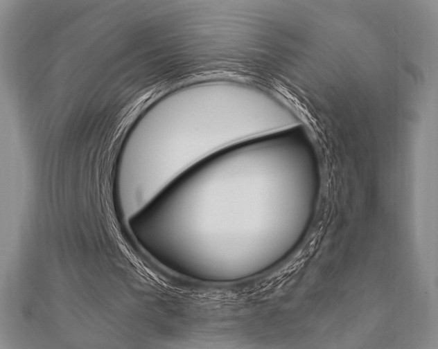 X0000112010193200908031028