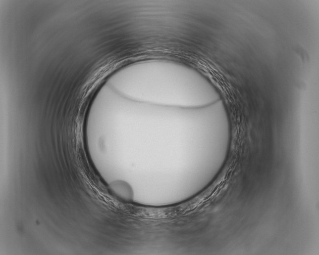 X0000112010194200908031028