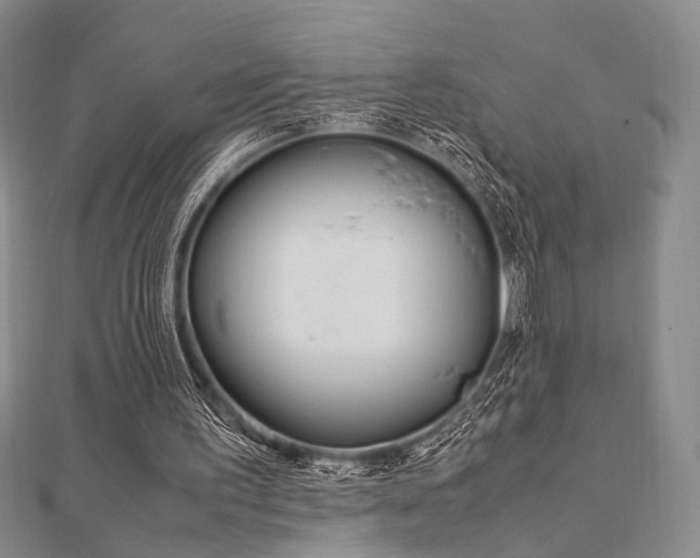 X0000112010195200908031028