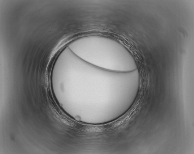 X0000112010198200908031028
