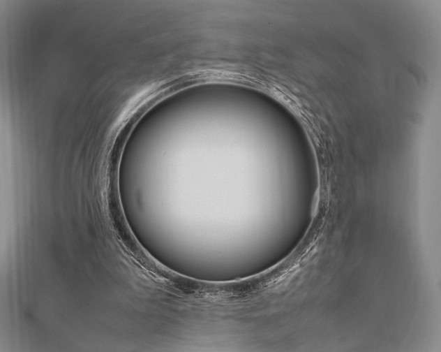X0000112010199200908031028