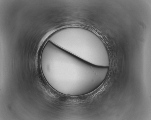 X0000112010200200908031028