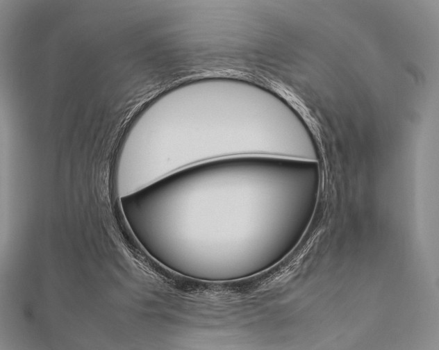 X0000112010201200908031028