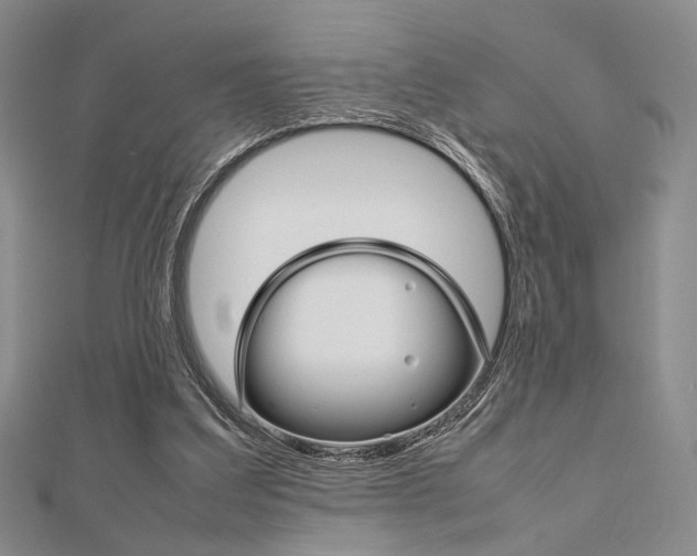 X0000112010203200908031028