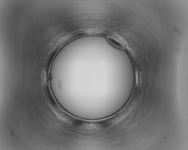 X0000112010205200908031028