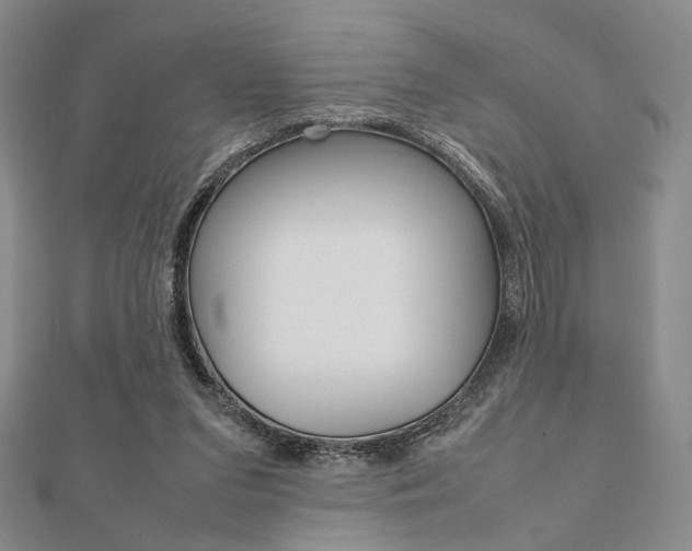 X0000112010207200908031028