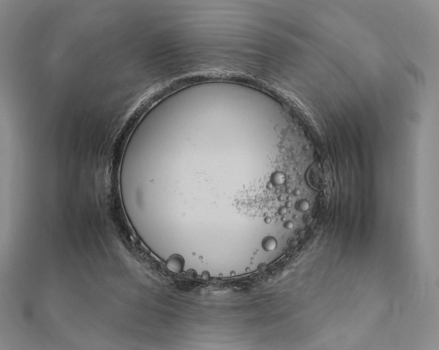 X0000112010208200908031028