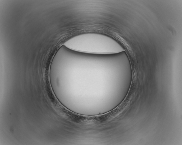 X0000112010209200908031028