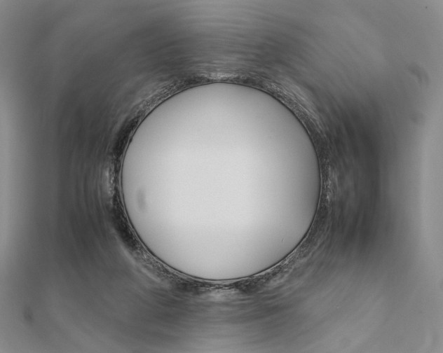 X0000112010210200908031028