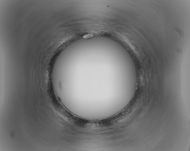 X0000112010211200908031028