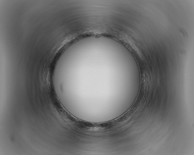 X0000112010212200908031028