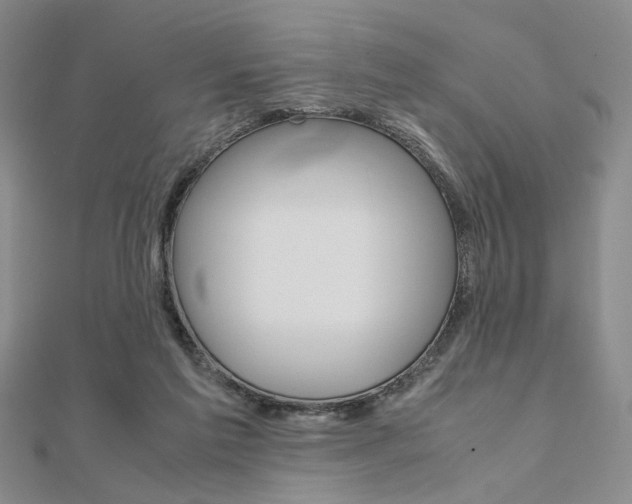X0000112010213200908031028
