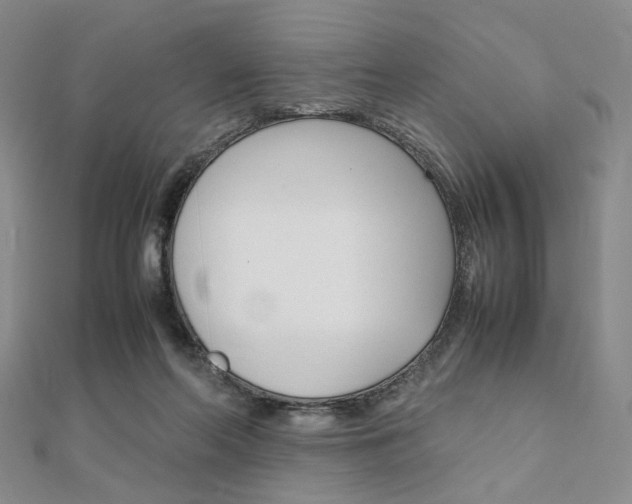 X0000112010214200908031028