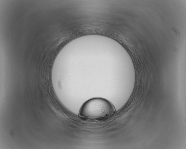 X0000112010215200908031028