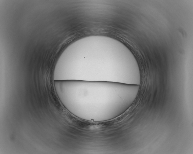 X0000112010216200908031028