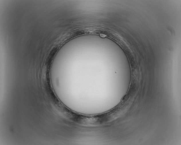 X0000112010217200908031028