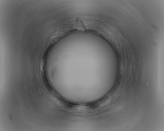X0000112010219200908031028