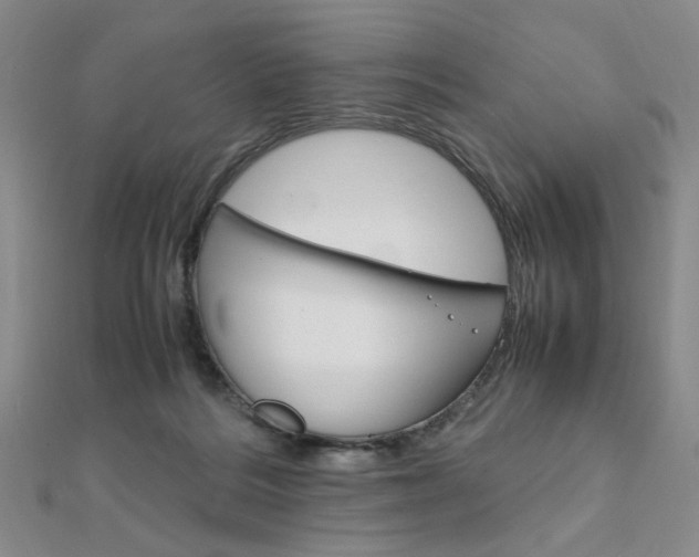 X0000112010220200908031028