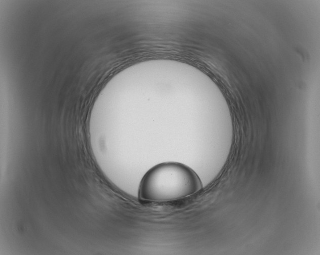 X0000112010221200908031028