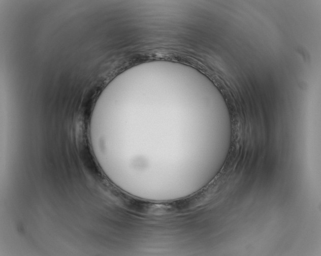 X0000112010222200908031028