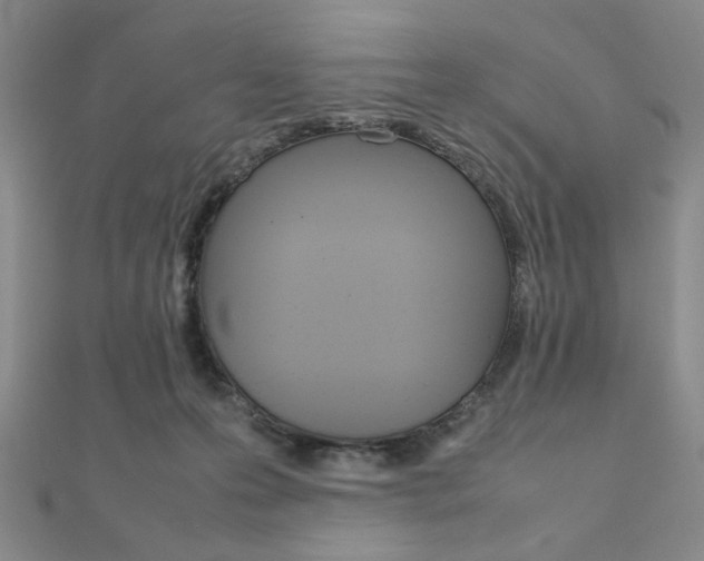 X0000112010223200908031028