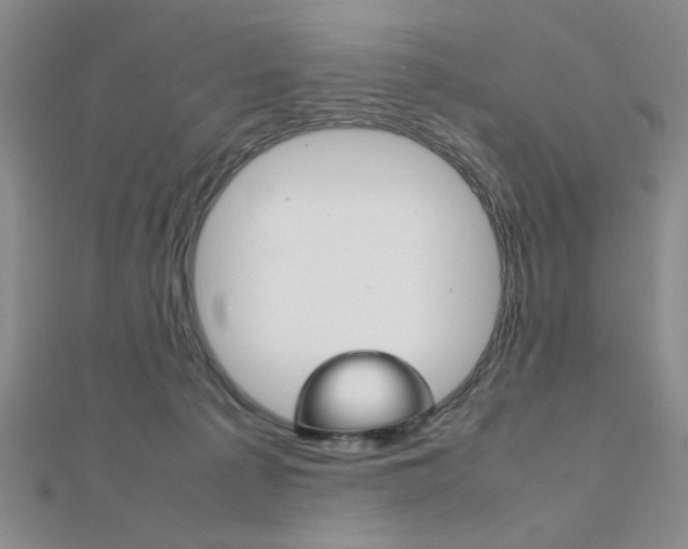 X0000112010225200908031028