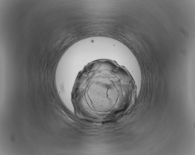 X0000112010227200908031028