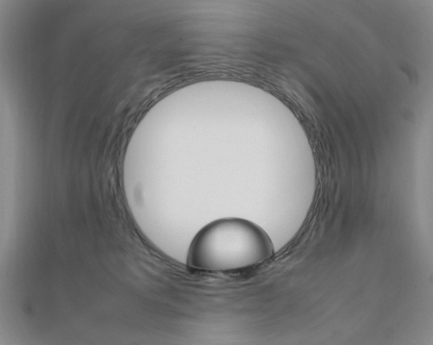 X0000112010229200908031028