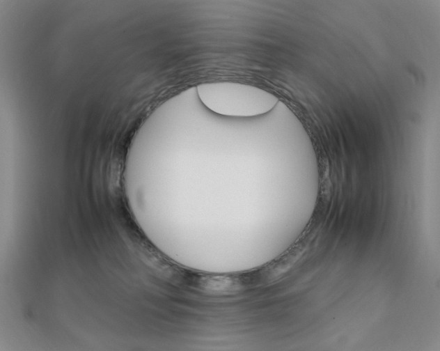 X0000112010230200908031028