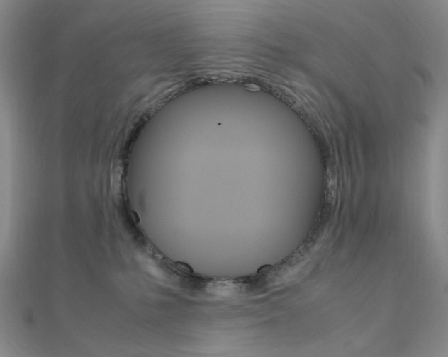 X0000112010231200908031028
