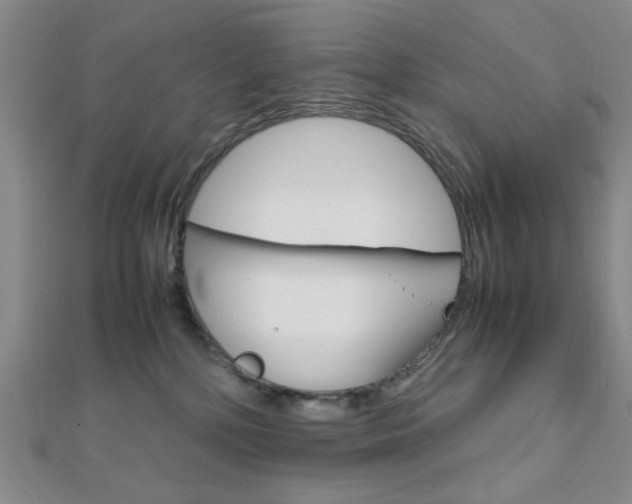 X0000112010232200908031028