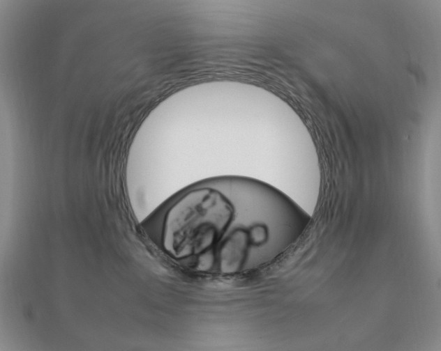 X0000112010235200908031028