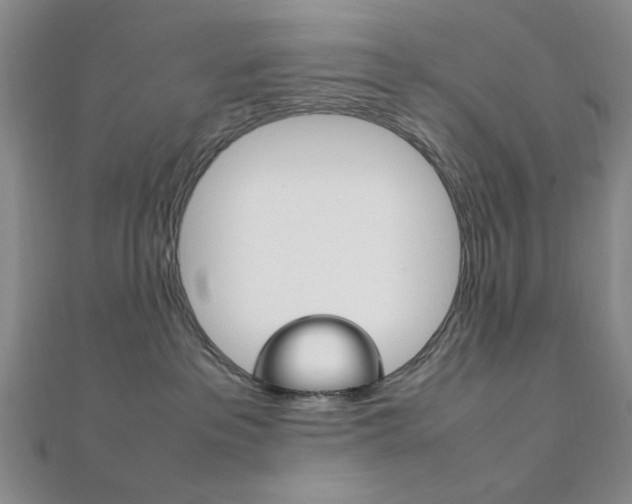 X0000112010237200908031028