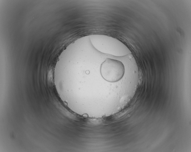 X0000112010238200908031028
