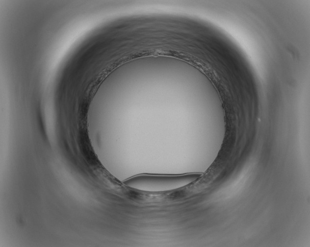 X0000112010239200908031028