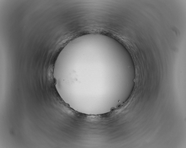X0000112010240200908031028