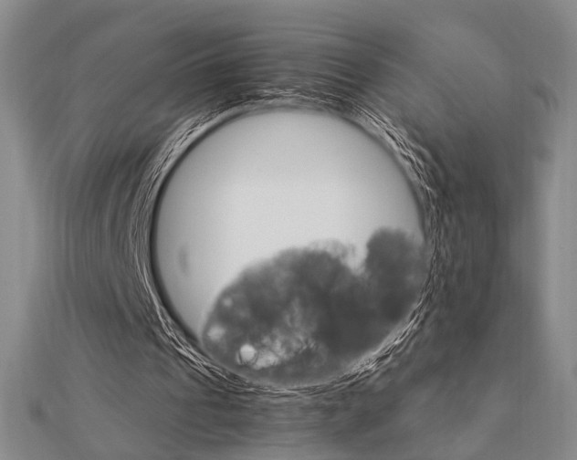 X0000112010241200908031027