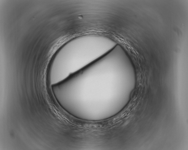 X0000112010242200908031027