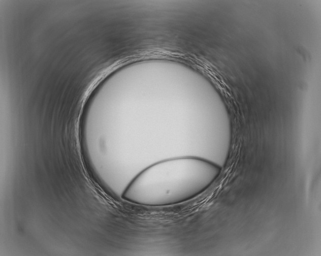 X0000112010244200908031027