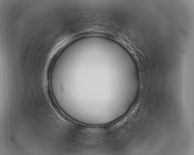 X0000112010245200908031027