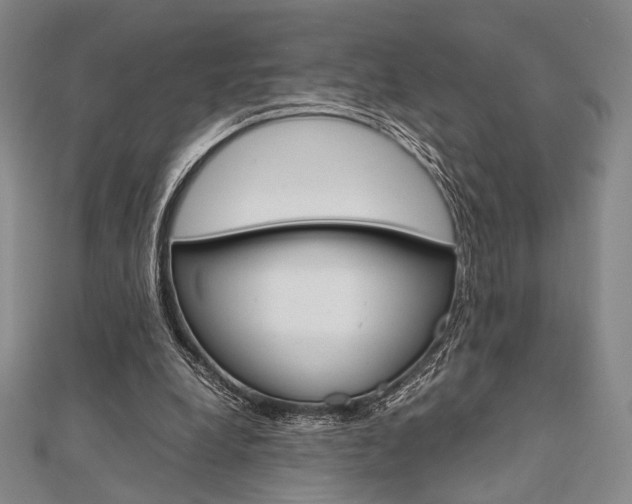 X0000112010248200908031027
