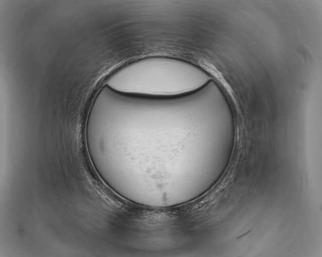 X0000112010249200908031027