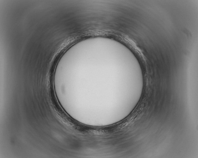 X0000112010250200908031027