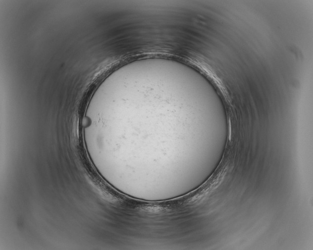 X0000112010253200908031027