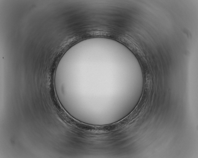 X0000112010255200908031027