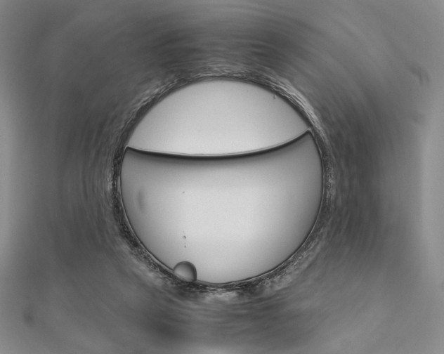 X0000112010257200908031027